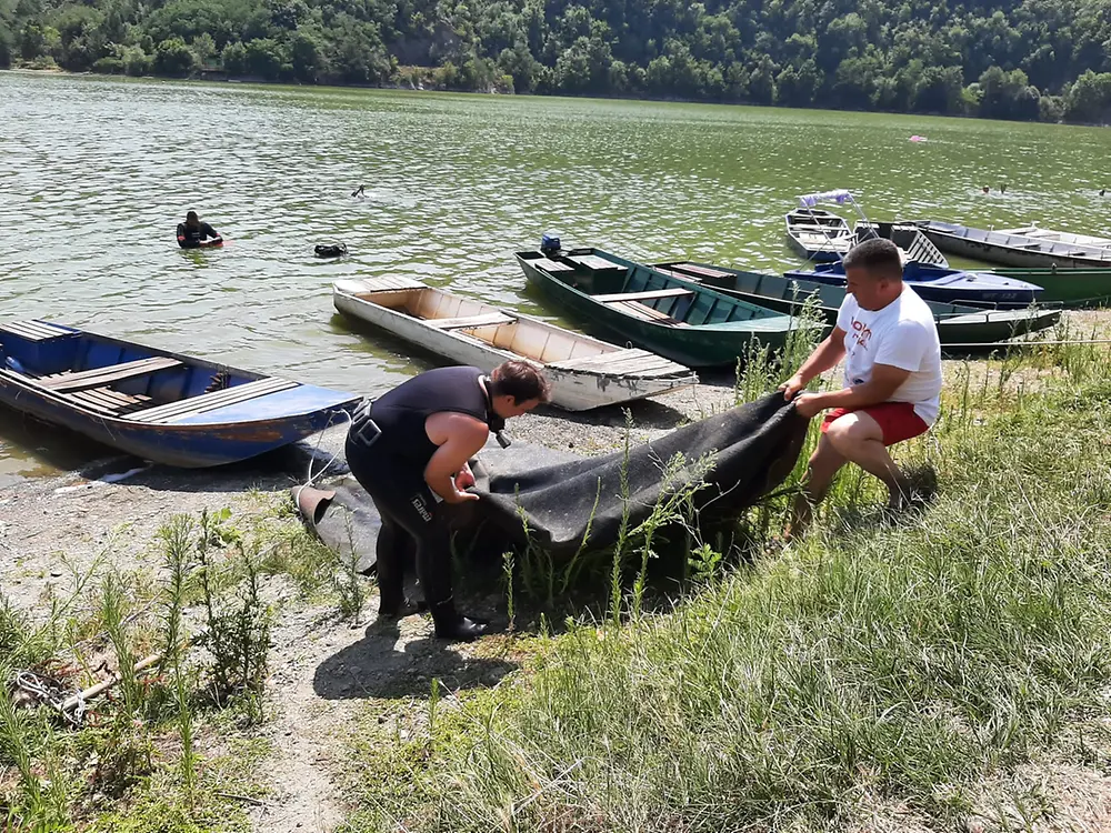 ronioci čiste jezero, jezero, vodena površina, ronoci