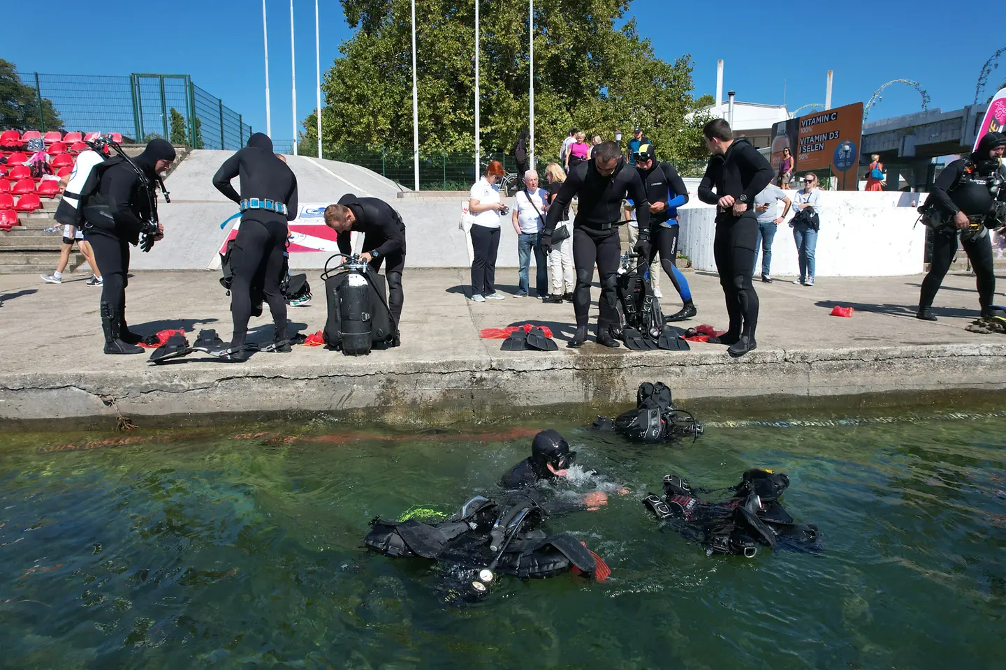 ronioci čiste jezero, jezero, vodena površina, ronoci, Ada Ciganlija